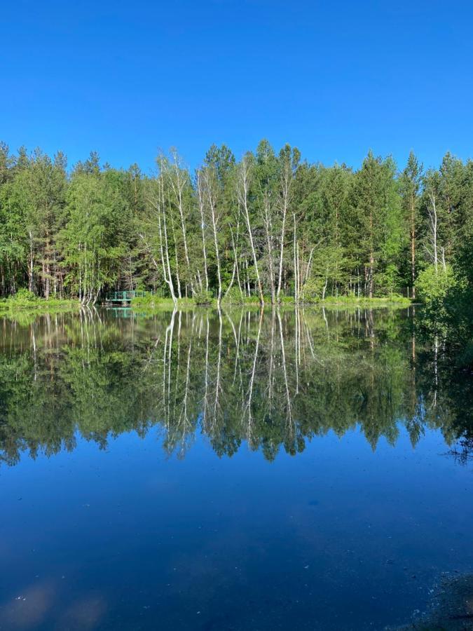 Forest And Lake Burabay Dış mekan fotoğraf